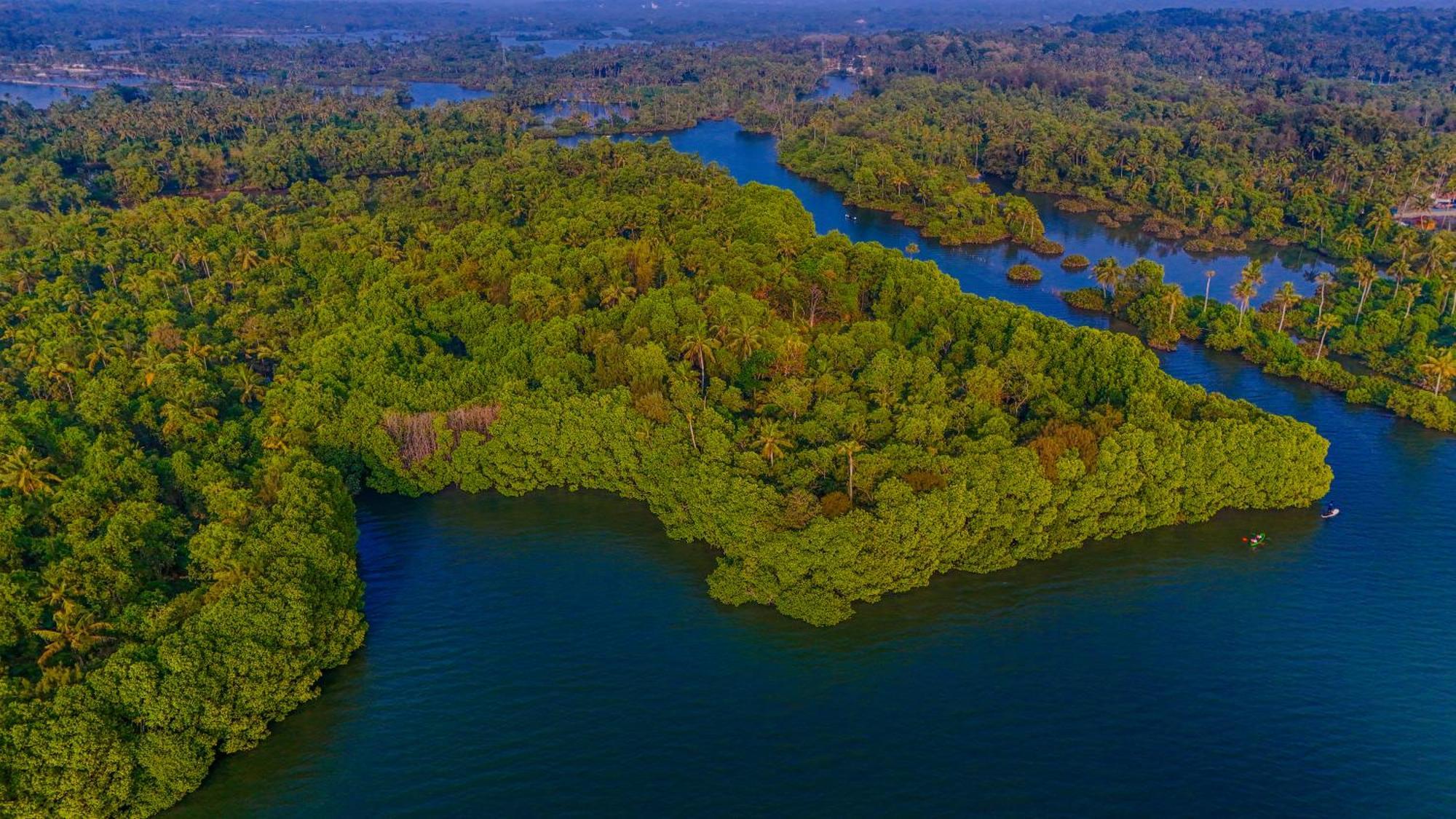 Fragrant Nature Backwater Resort & Ayurveda Spa Колам Екстериор снимка